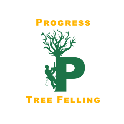 cropped-ProgrssTreeFelling-LogoVec.png